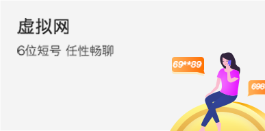 虚拟网