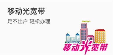 移动光宽带
